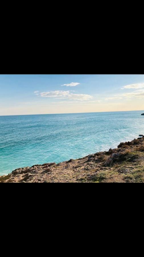 Grand Bord De Piscine * Sete